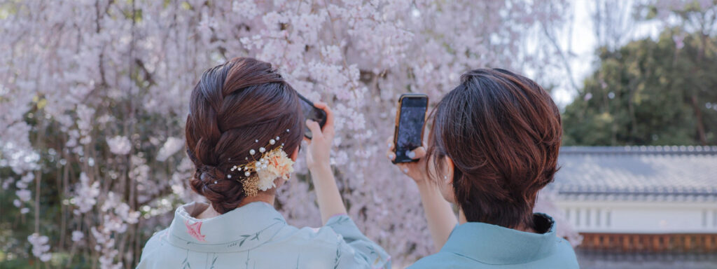 花言葉 桜 入学式 卒業式